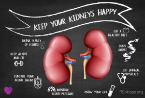 Protecting Your Kidney Health Through Preventive Care and Early Detection- 2026 7 Chalkboard kidneys 5 1024x689 1